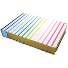 Emily Ley - Cahier de notes 250 feuilles, 7-3/4 po x 5-7/8 po – Rayures Heureuses-500 pages avec bandeau tendance assorti  