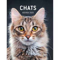 Modus Vivendi - Agenda Chats 2025 - Français-Agenda