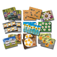 Yellow Door - Cartes de nombres précoces Honey Bee, lot de 16-Ces cartes d'activités attrayantes offrent un moyen passionnant d'enseigner les premières compétences numériques