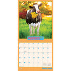 BrownTrout - 2026 Avanti Funny Farm Officiel Calendrier mural Suspendu Mensuel - 30,5 cm l x 61 cm H - Anglais-À Utiliser Tout de Suite - Calendrier de 16 mois, 12 pages de mois pleines et comprenant en prime les quatre derniers mois de l'année précédente avec une image supplémentaire