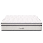 Modway - Jenna 14 po Ressorts et mousse Matelas King-CertiPUR-US Certifié