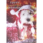 Mill Brook Studio - Cartes de souhaits Noël / Enveloppes - 5-3/8 po x 7-3/4 po - Chien de Noël - Paquet de 18-Cartes de souhaits qualité boutique