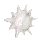 AMACO - Composé à modeler Sculptamold – 25 lb-Sculptamold ressemble au papier mâché dans la mesure où ce composé de cellulose est léger et ne rétrécit pas. Contrairement au papier mâché, il peut être modelé et coulé facilement.