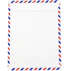 JAM Paper Enveloppes pour catalogue avec ouverture à lâ€™extrémité 9 x 12 po pour correspondance aérienne, 1000/paquet-Fait de papier pour correspondance aérienne