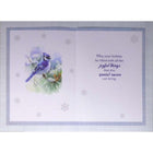 Rosedale - Cartes de souhaits Noël 5-1/2 po x 8 po / Enveloppes - paquet de 12-Imprimées sur un papier de qualité non couché