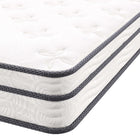 Modway - Jenna 6 po Ressorts et mousse Matelas simple étroit-9
