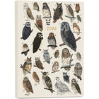 Sellers Publishing - Agenda sur 17 mois à couverture rigide High Note 2026 - L’ordre des animaux-17 mois, août 2025 à décembre 2026 