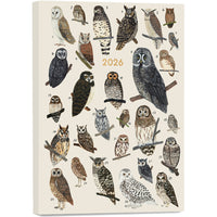 Sellers Publishing - Agenda sur 17 mois à couverture rigide High Note 2026 - L’ordre des animaux-17 mois, août 2025 à décembre 2026 