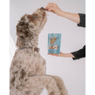 Dexypaws - Friandises pour chiens au beurre de cacahuète et aux myrtilles-12 onces