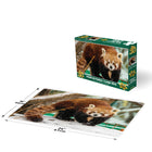 Prime 3D - Panda roux - 500 pièces-Morceaux de haute qualité, durables et faciles à assembler