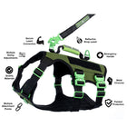 Healthy Harness - Harnais Absolute Adventure - Noir - XXL-Plusieurs points d'attache pour la laisse : un mousqueton à l'avant pour le dressage, un mousqueton à l'arrière pour les promenades occasionnelles et une poignée robuste pour les urgences