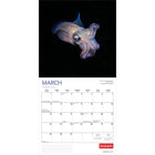 Wyman Publishing - 2026 Vie Marine Par Canadian Geographic Officiel Calendrier mural Suspendu Mensuel - 30,5 cm l x 61 cm H - Anglais-À Utiliser Tout de Suite - Calendrier de 16 mois, 12 pages de mois pleines et comprenant en prime les quatre derniers mois de l'année précédente avec une image supplémentaire