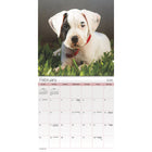DateWorks - Mini Calendrier Mural 16 Mois d'Chiots 2025 - 7 po x 7 po - Anglais-13 images de haute qualité imprimées sur du papier Premium.