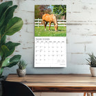 Plato - 2026 Magnifiques Chevaux Calendrier mural Suspendu Mensuel - 30,5 cm l x 61 cm H - Anglais-Caractéristiques - 16 mois (mise en page sur deux pages de septembre à décembre 2025 et de janvier à décembre 2026) , 30,5 cm x 30,5 cm (fermé) , 30,5 cm x 60,9 cm (ouvert) , 28 pages