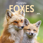 Wyman Publishing - 2026 Renards Par Canadian Geographic Officiel Calendrier mural Suspendu Mensuel - 30,5 cm l x 61 cm H - Anglais-Photographie - Chaque mois, découvrez de superbes photographies ou œuvres d'art en couleur
