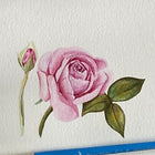 Canson XL Series Aquarelle - 9" x 12" - 30 Feuilles-9" x 12"