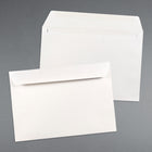 JAM Paper Enveloppes format livret, 6,5 x 9,5 po, blanc, 250/pqt (4241h)-4