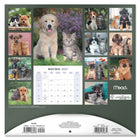 Mead - Calendrier décoratif Copains à pattes 2027, 12 po x 12 po, bilingue-Présente des illustrations mensuelles en couleurs pour embellir les espaces
