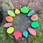 Yellow Door - Pierres de jeu sensorielles - Feuilles - Lot de 12-Développez l'imagination des enfants, développez le jeu d'investigation et encouragez la curiosité et l'amour du monde naturel