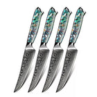 Minimal - Ensemble de couteaux à steak Damascus TransShell de 4 pièces, service pour 4 personnes-Acier Damas forgé 67 couches avec noyau en acier VG10