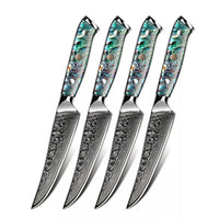 Minimal - Ensemble de couteaux à steak Damascus TransShell de 4 pièces, service pour 4 personnes-Acier Damas forgé 67 couches avec noyau en acier VG10
