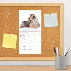 DateWorks - Mini Calendrier Mural 16 Mois Amis de 2025 - 7 po x 7 po - Bilingue-Parfait à accrocher sur un mur, un tableau en liège ou un tableau d'affichage à la maison, à l'école ou au bureau