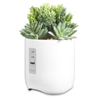 iHome - iPP45W Station de recharge plant avec plusieurs ports de chargement USB - Blanc-3 ports de chargement USB : 2 ports USB-C (20 W max partagés) et 1 port USB-A 10 W (10 W max)