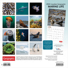 Wyman Publishing - 2026 Vie Marine Par Canadian Geographic Officiel Calendrier mural Suspendu Mensuel - 30,5 cm l x 61 cm H - Anglais-Conception Durable - Le papier robuste et de haute qualité empêche le froissage et le débordement de l'encre, et la reliure durable assure la longévité tout au long de l'année