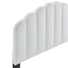 Modway - Veronique Performance Velvet Tête de lit jumelée, Blanc-Montage à hauteur ajustable