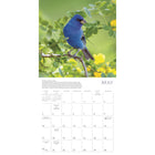 Sellers Publishing Inc. - Calendrier mural 2026 - Songbirds - Anglais-4