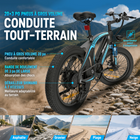 Gyrocopters - Vélo électrique pour adultes Zapphire - Vitesse 32 km/h - Autonomie (assistance électrique) 91 km - Noir-Les pneus « Fat » de 20 x 3 pouces ainsi que les freins à disque mécaniques avant et arrière offrent une adhérence et une puissance de freinage supérieures sur tous les types de surface