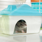 PawHut - Cage pour hamster 31 po L avec système de tubes tunnels - Bleu-Matériau : fil d’acier, PP, PS