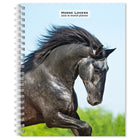 BrownTrout - Agenda 16 mois pour les amoureux des chevaux 2026-Photographie - Une cinquantaine de photographies époustouflantes en couleurs