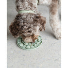 Dexypaws - Tapis à renifler enrichissant Sage Green Circle-5