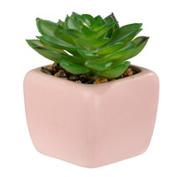 Pep Rally - Mini fausse plante - rose-Plante synthétique réaliste pour une apparence naturelle sans entretien