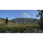 Kingdom Come: Deliverance pour Xbox Series X-9