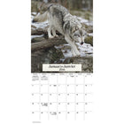 DateWorks - 2026 Calendrier Mural 16 Mois - 12 po x 12 po - Loups - Bilingue -Septembre 2025 - Décembre 2026