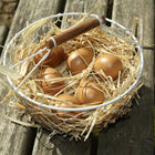 Yellow Door - Œufs de jeu, 6 par paquet-Robuste et lavable