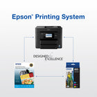 Epson - Cartouches d'encre T822 - Noir grande capacité/Couleur standard CMJ-6