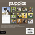 DateWorks - Mini Calendrier Mural 16 Mois d'Chiots 2025 - 7 po x 7 po - Anglais-Comprend des pages mensuelles de janvier à décembre 2025, ainsi que les 4 derniers mois de 2024.