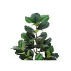 Monarch Specialties - Plante Artificielle - 49 po H - Arbre À Violons - Mis En Pot - Touche Réelle - Feuilles Vertes - Pot Noir-6