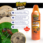 Blaze Pro - Destructeur de nids de fourmis - Mousse - 425 g - Paquet de 12-Effet résiduel durable
