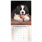 Mead - Calendrier décoratif Chiots 2027, 12 po x 12 po, bilingue-Couvre une période de 16 mois pour une planification prolongée