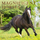 Plato - 2026 Magnifiques Chevaux Calendrier mural Suspendu Mensuel - 30,5 cm l x 61 cm H - Anglais-Photographie - Chaque mois, découvrez de superbes photographies ou œuvres d'art en couleur