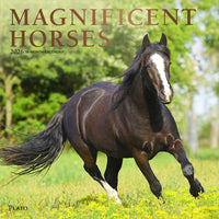 Plato - 2026 Magnifiques Chevaux Calendrier mural Suspendu Mensuel - 30,5 cm l x 61 cm H - Anglais-Photographie - Chaque mois, découvrez de superbes photographies ou œuvres d'art en couleur