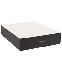 Modway - Aveline 16 po Mousse à mémoire de forme Matelas Queen-Mousse à mémoire de forme infusée au gel rafraîchissant de 6 po