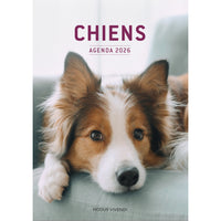 Modus Vivendi - Chiens Agenda 2026-January To December