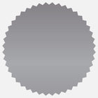 JAM Paper - Rouleaux d'étiquettes standard - Burst - joint de 2 -25 pouces - feuille mate argentée - 125 étiquettes/rouleau-Taille : Burst (2,25 pouces) | Les étiquettes imprimables sont faciles à créer et à personnaliser.