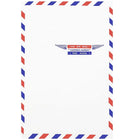 JAM Paper Enveloppes pour correspondance aérienne à ouverture au sommet, 6 x 9 po, 1000/paquet-Enveloppes conçues pour la correspondance aérienne