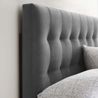 Modway - Lily Biscuit Touffé Performance Velvet Tête de lit complète, Gris-Touffe élégante de biscuits